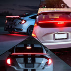 Through the taillights