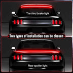 Through the taillights