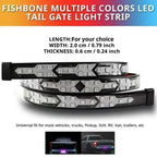 LED color tailgate light