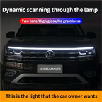Car hood light, dual-color, dynamic