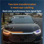 Car hood light, dual-color, dynamic