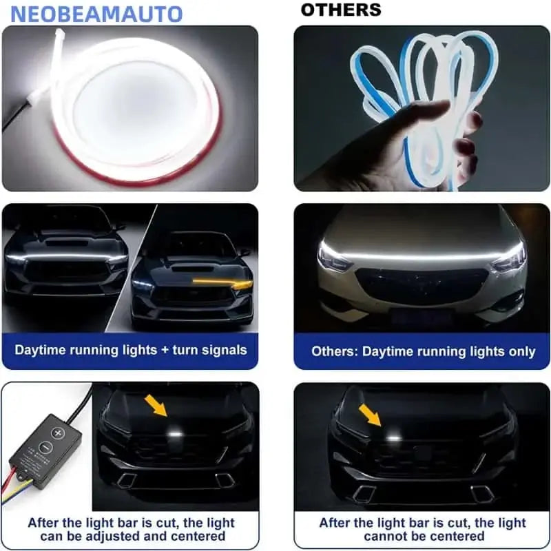 Car hood light, dual-color, dynamic