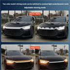 Car hood light, dual-color, dynamic