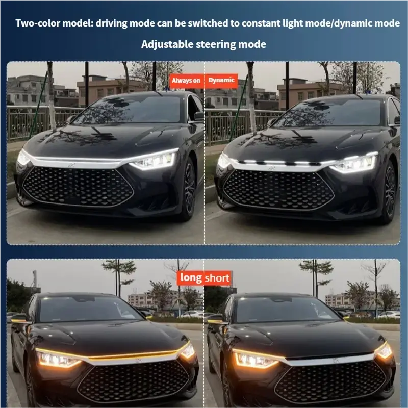 Car hood light, dual-color, dynamic