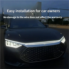 Car hood light, dual-color, dynamic