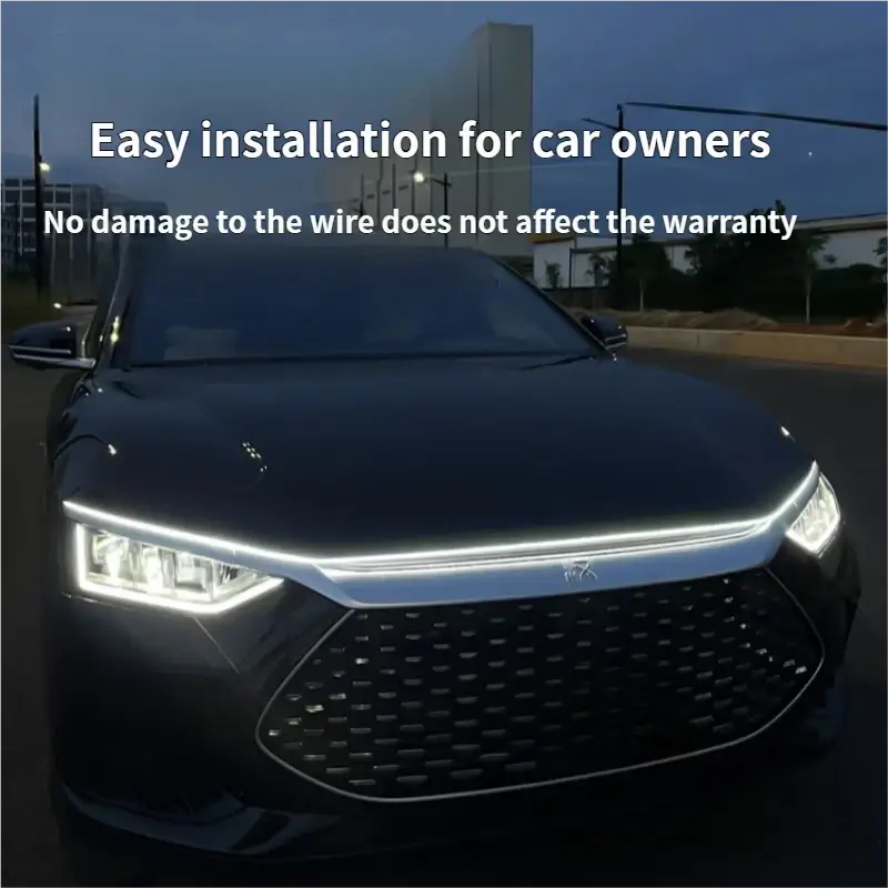 Car hood light, dual-color, dynamic